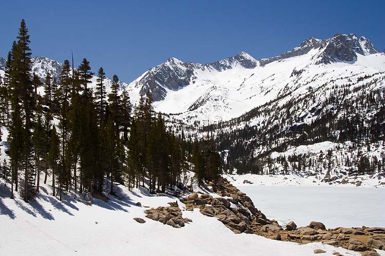 Snowy Landscape
