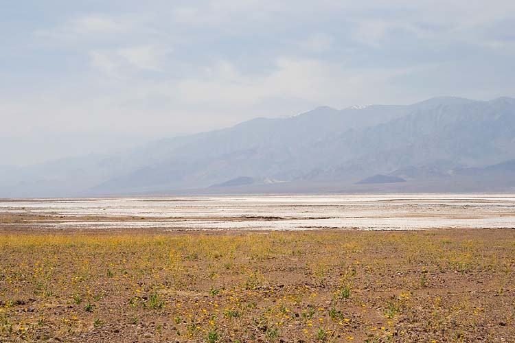 Mountains, Salt and Flowers