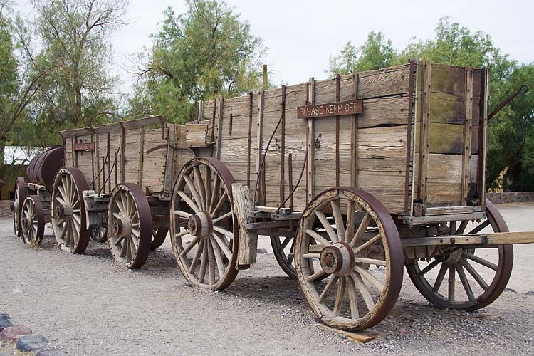 Twenty Mule Train