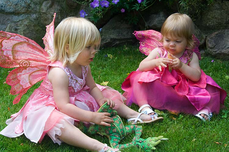 Two Fairies and a Frog