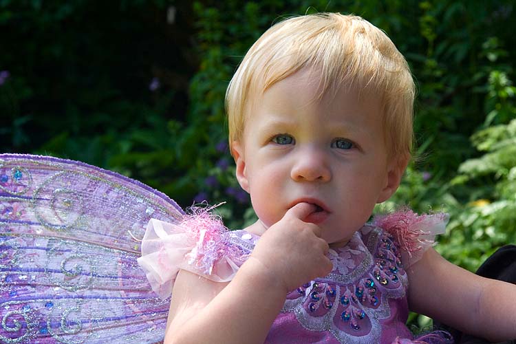Lavender Fairy