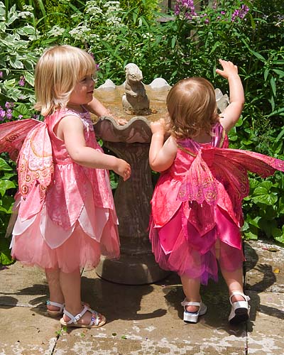 Two Fairies at the Bird Bath