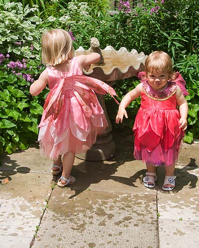 Soggy Fairies