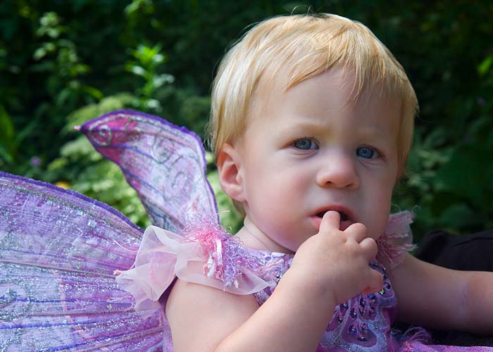 Teething Fairy