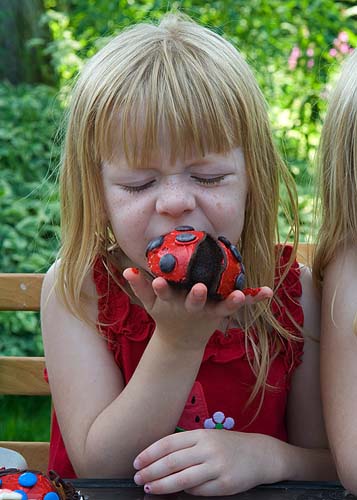 Lets Try a Ladybug