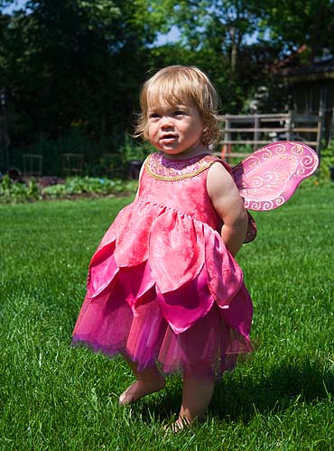 Pink Fairy