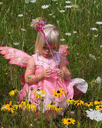 Rachel and the Black-Eyed Susans