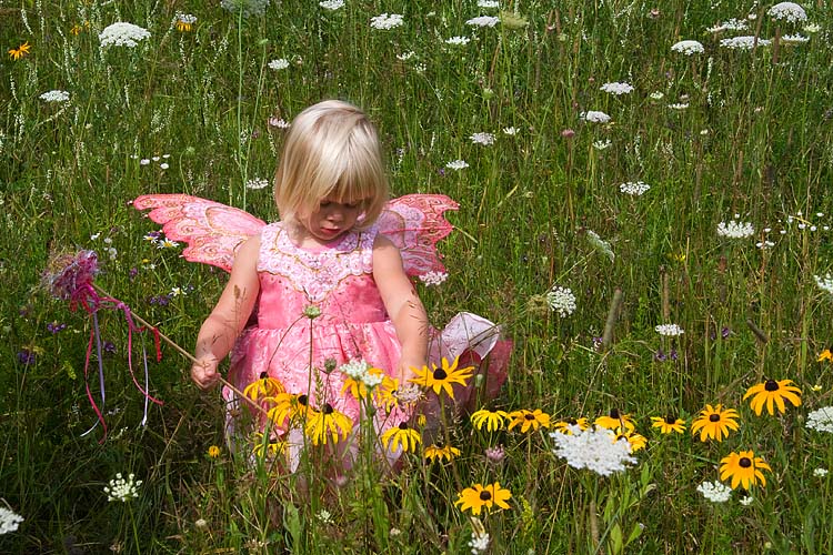 Rachel in the Wildflowers