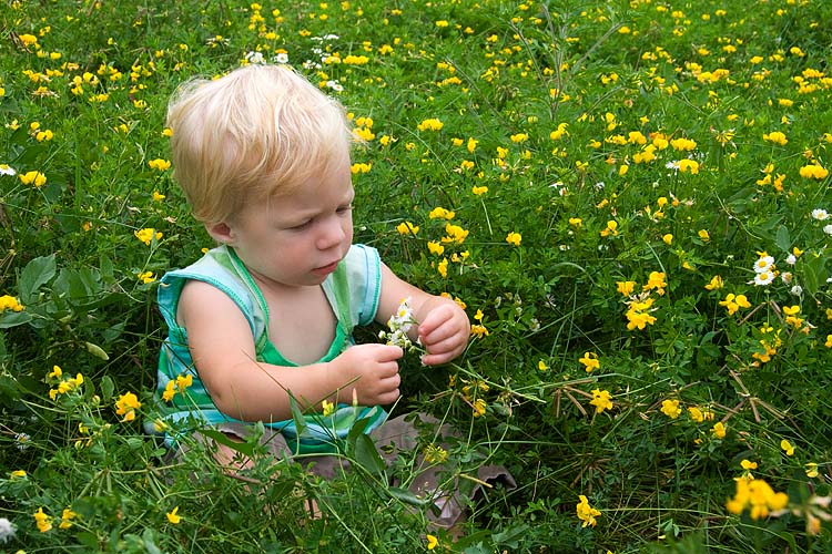 Natalya and the Flowers
