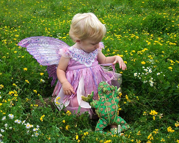 Fairy with Frog