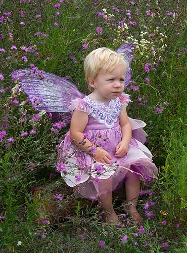 In the Purple Meadow