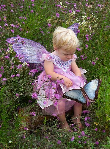 Fairy & Butterfly