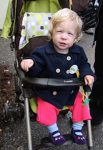 Going To the Fair
