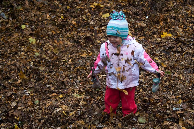 Throwing Leaves