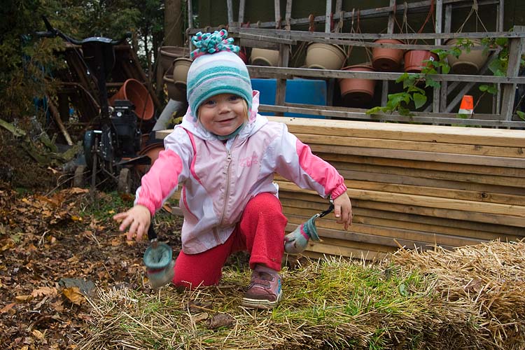 Climbing On the Hay-bale