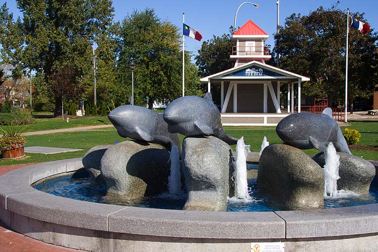 Whales In the Fountain