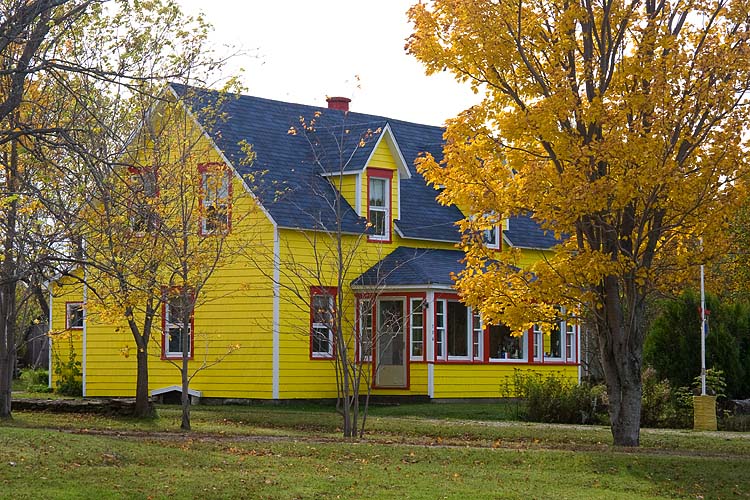 Yellow House  