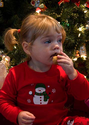 Christmas Cream Puff