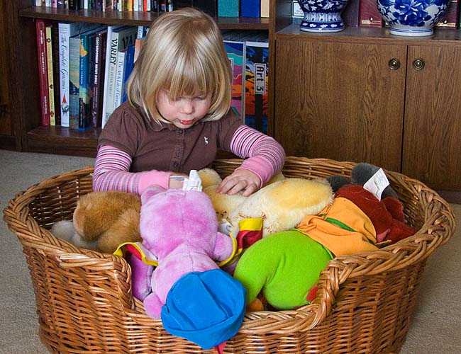 Goldilocks and the Ten Bears