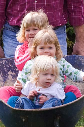 Three Girls In A Wheelbarrow