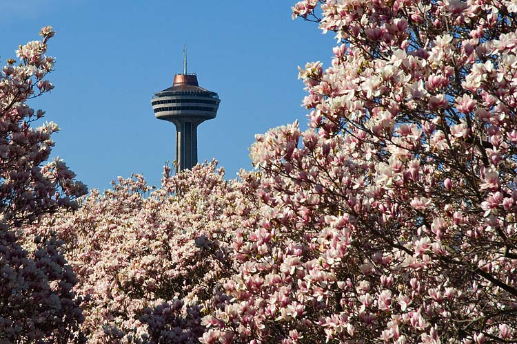 Skylon Tower