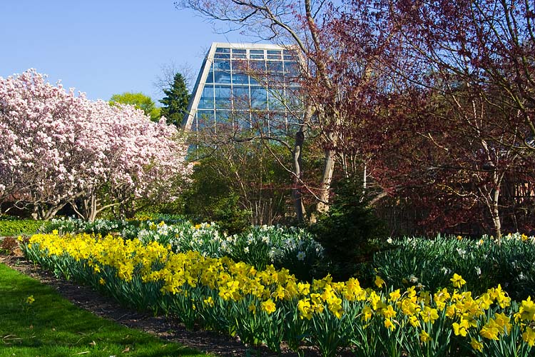 Greenhouse