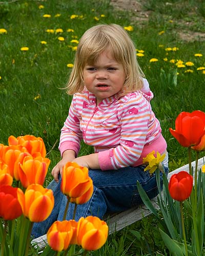 Teagan & the Tulips