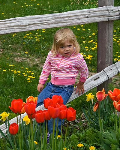 Cutie In the Garden