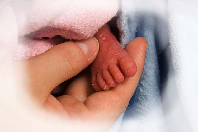 Two Weeks Old