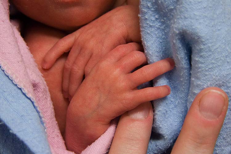 Delicate Hands