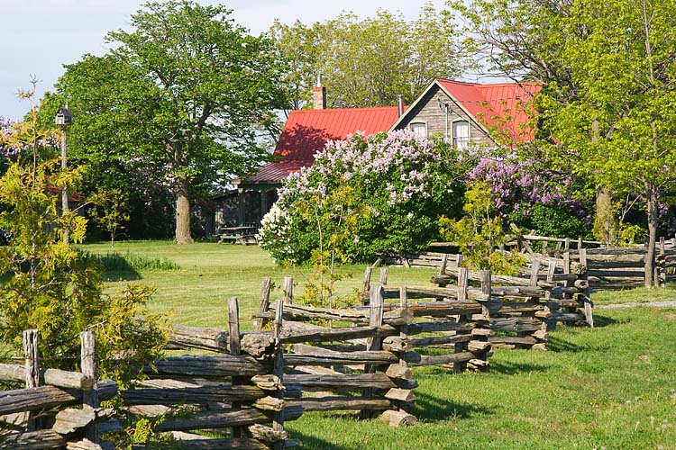 Fence & Farmhouse