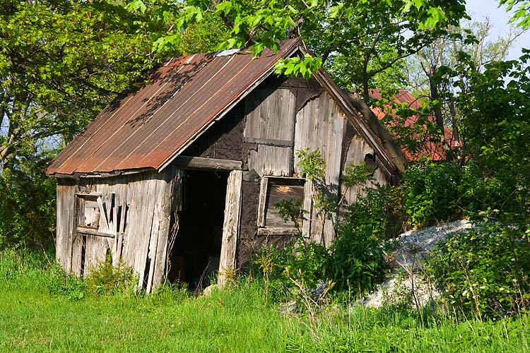 Overgrown Shed