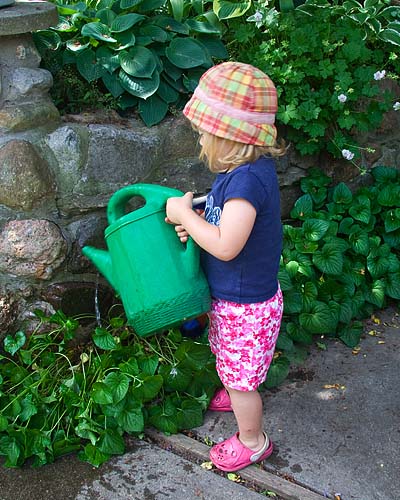 "These Look Like They Could Use Some Water!"