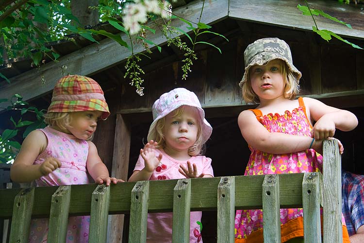 Up In the Tree-House