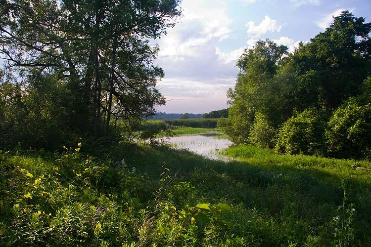 Constable Landscape