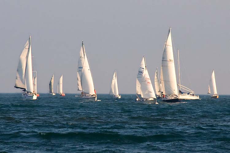 Sailboat Regatta