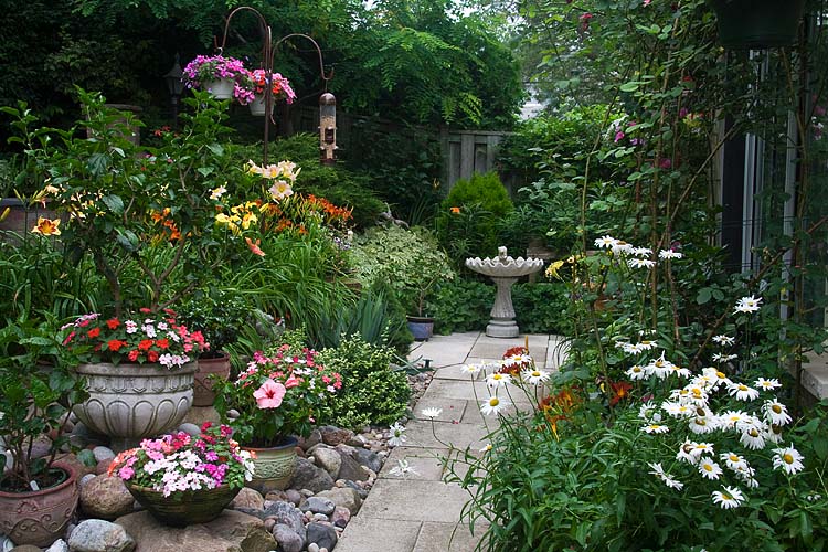 The Bird Bath
