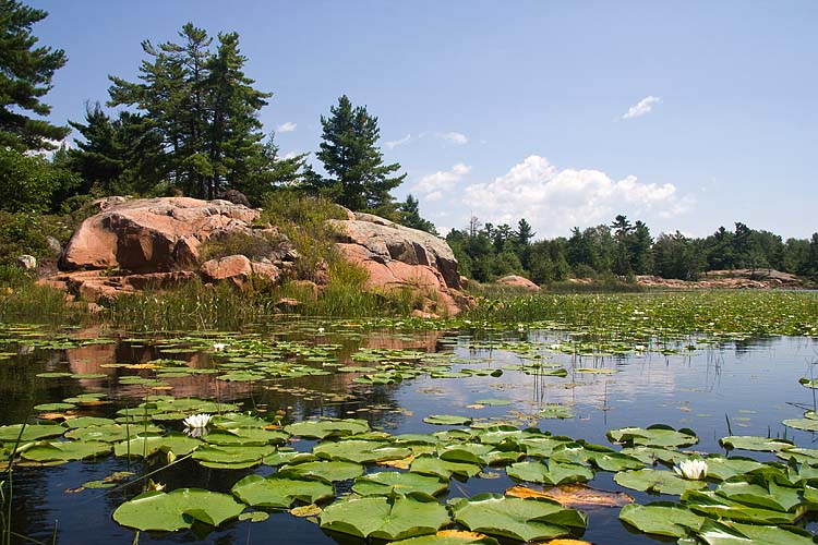 Classic Georgian Bay