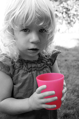 The Cup