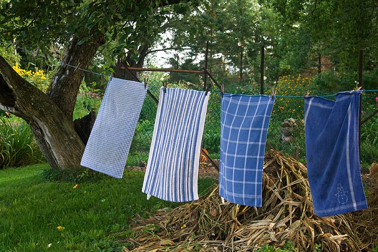 Blue Towels