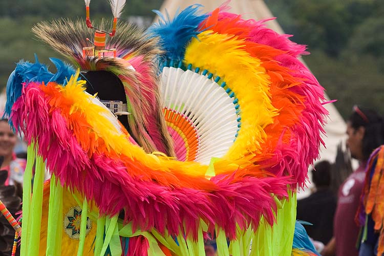 Feather Rainbow
