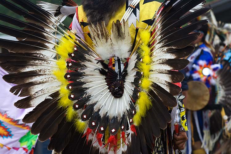 Traditional Bustle