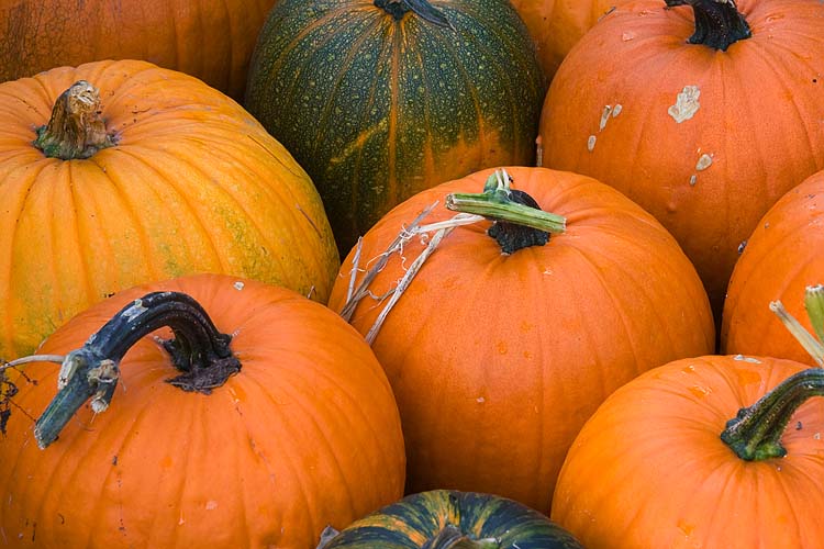 Pumpkins