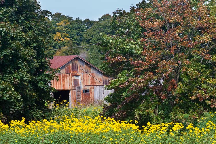 September Barn