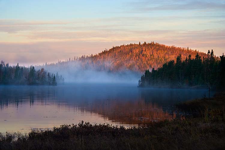 Misty Dawn