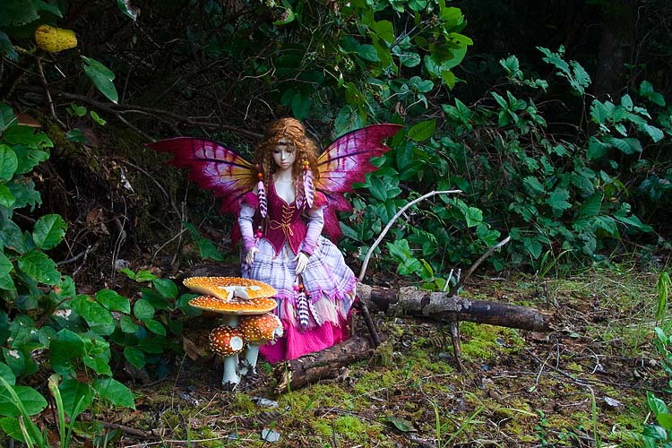 Fairy Tale Mushrooms