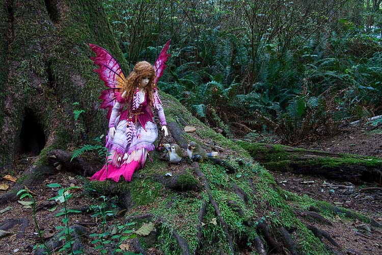  Forest Friends