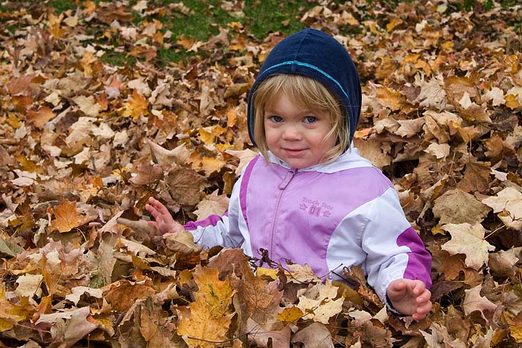 Teagan in the Leaves