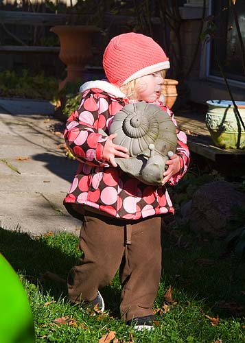 Struggling with a Snail