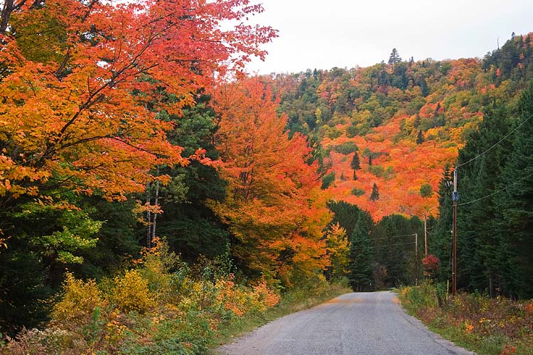 Country Road